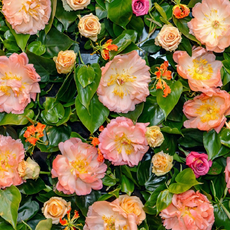 Hayford Rhodes Florists Hayford & Rhodes Florists