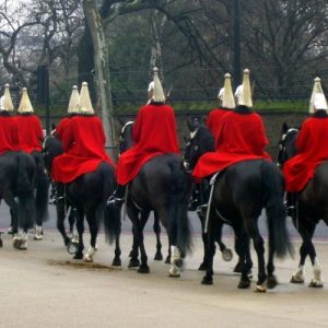 Events In Knightsbridge Household Cavalry