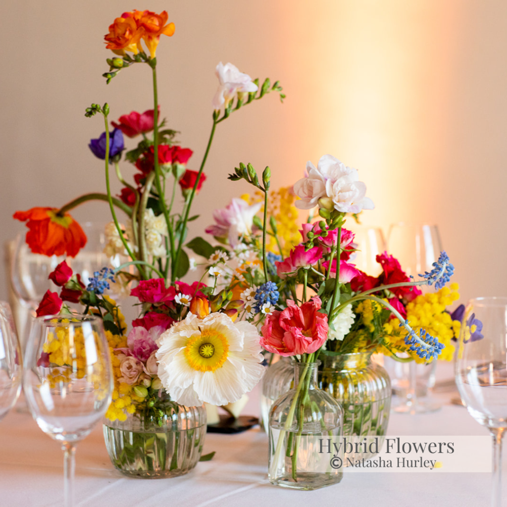 Hybrid Flowers London Florist (1) Hybrid Flowers London Florist