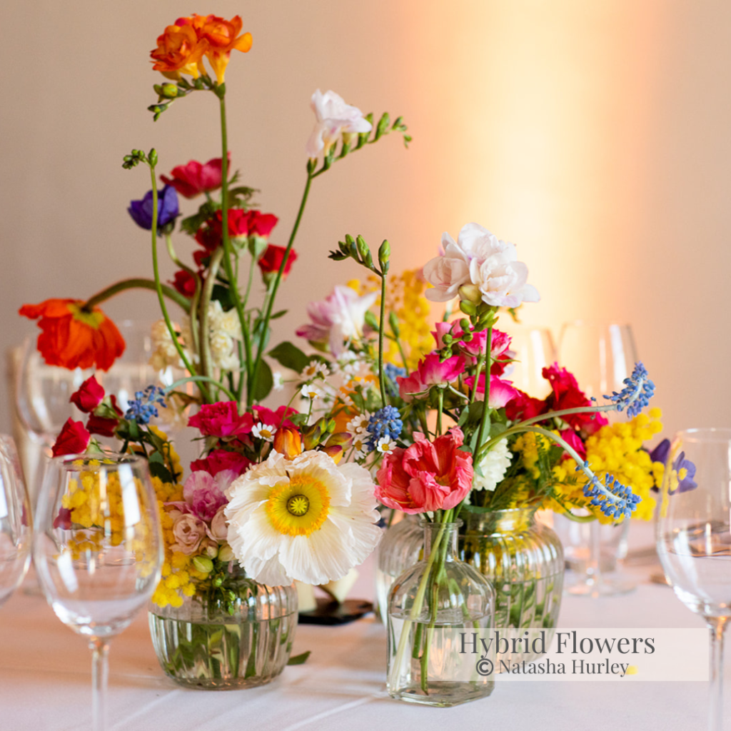 Hybrid Flowers London Florist 