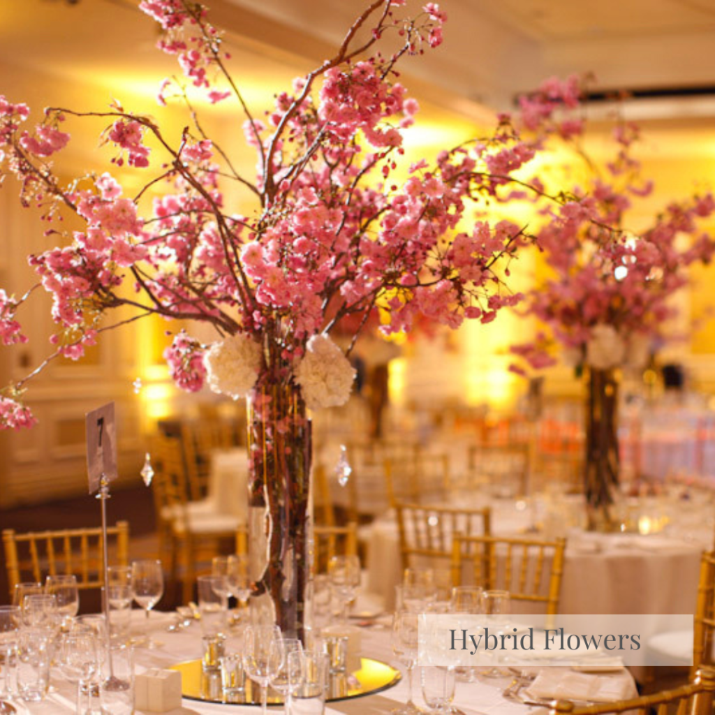 Hybrid Flowers London Florist (5) Hybrid Flowers London Florist