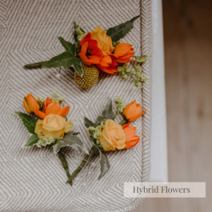 Hybrid Flowers London Florist