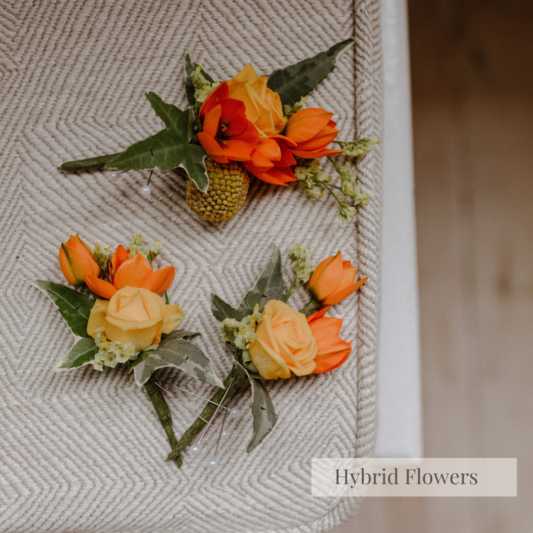 Hybrid Flowers London Florist 